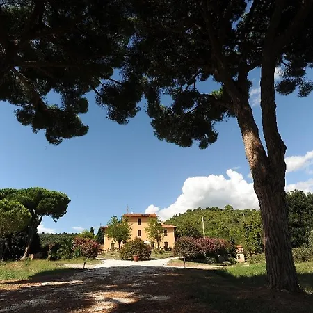 Boldrini